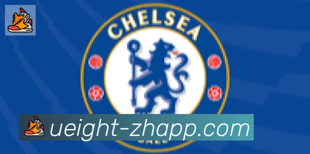 U8国际合作伙伴