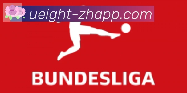 U8国际合作伙伴