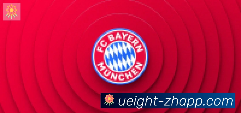 U8国际合作伙伴