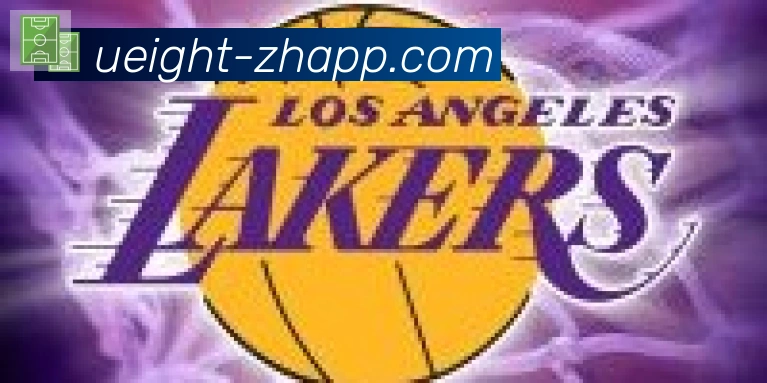 U8国际合作伙伴